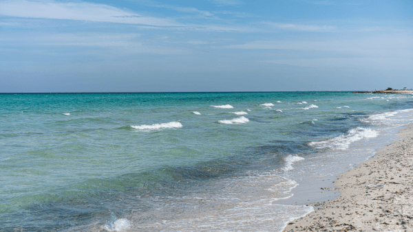 Mahdia-beach