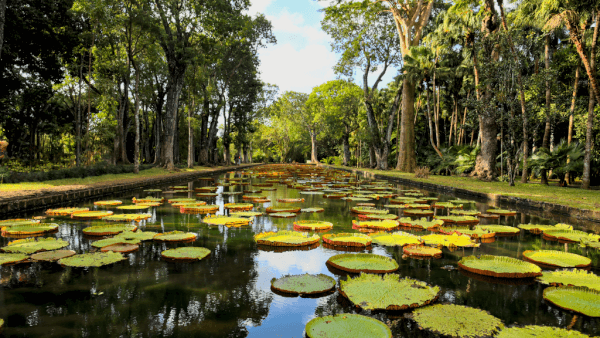 mauritius-4