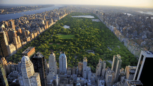 usa-ny-2