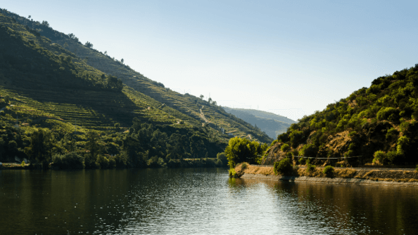 oporto-2