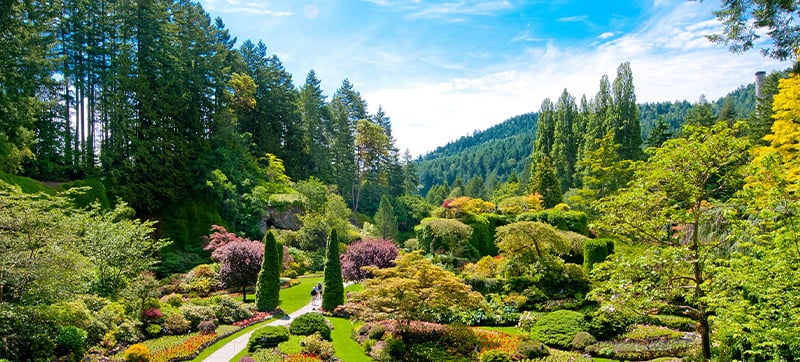 Car Hire in Victoria