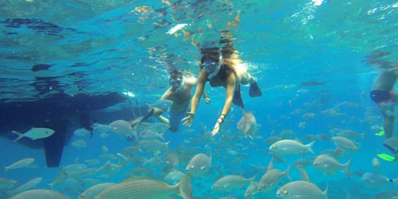 Wypozyczalnia Samochodów w Fuerteventura
