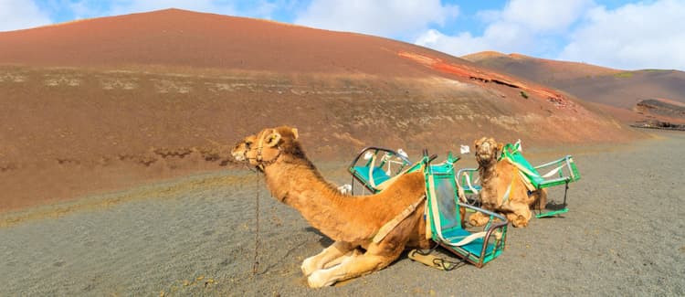 Car Hire in Lanzarote 