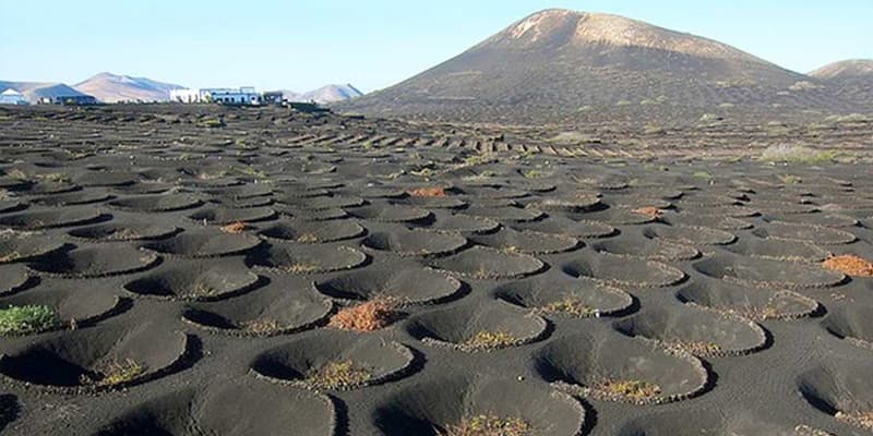 Car Hire in Lanzarote