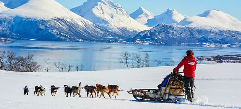 Car Hire in Ivalo