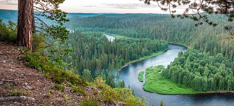 Cheap Car Hire in Kuusamo Airport