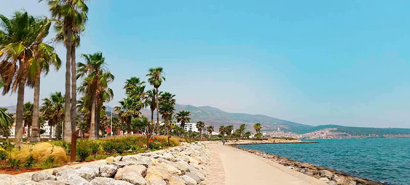 Cheap Car Hire in Nador Airport