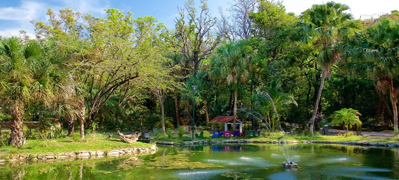 Autohuur in Tuxtla Gutierrez