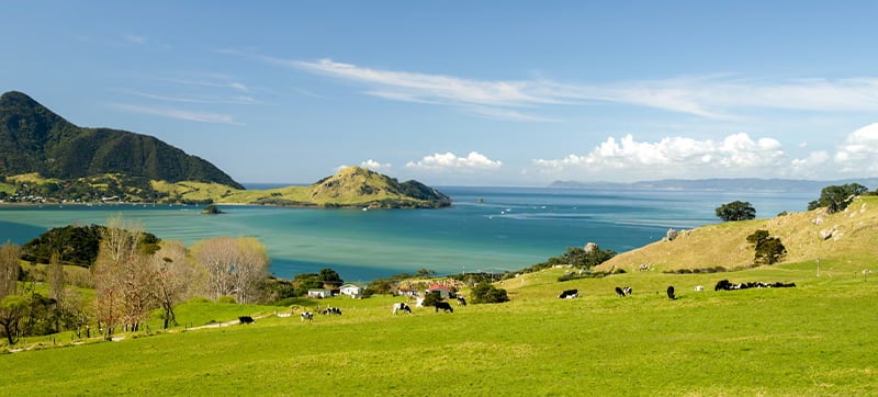Cheap Car Hire in Whangarei Airport