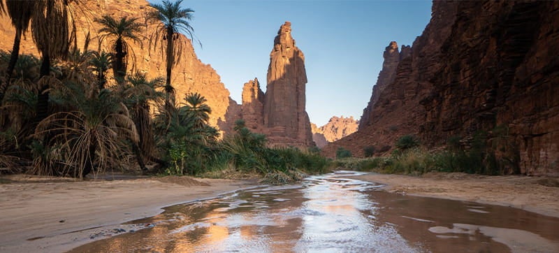 رخيص تأجير السيارات في تبوك مطار