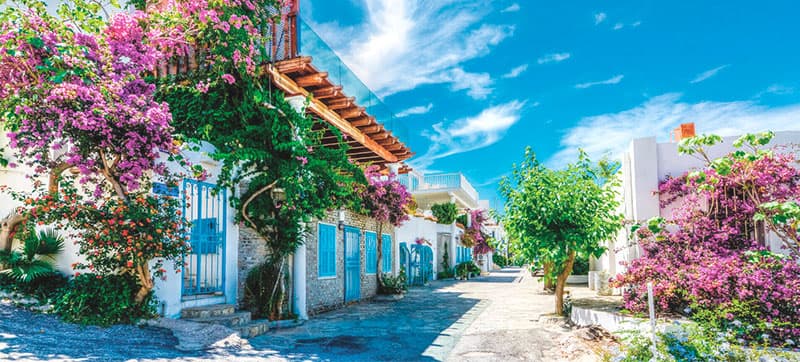 Noleggio Auto a Bodrum