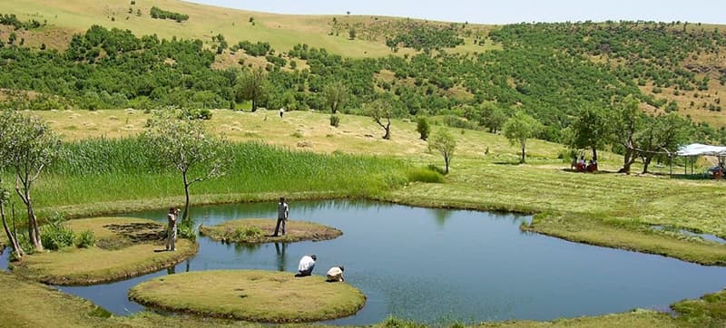 Car Hire in Bingol