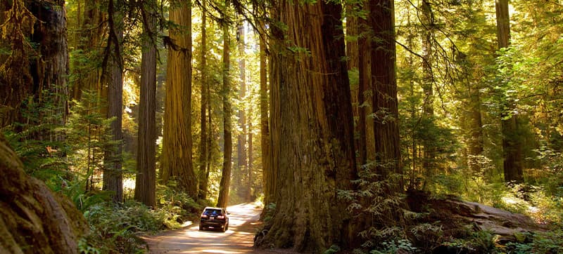 Car Hire in Eureka