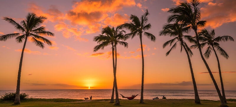 Alquiler de Coches en Honolulu 