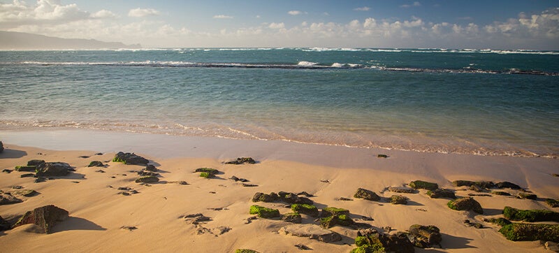 Location de Voitures à Kahului