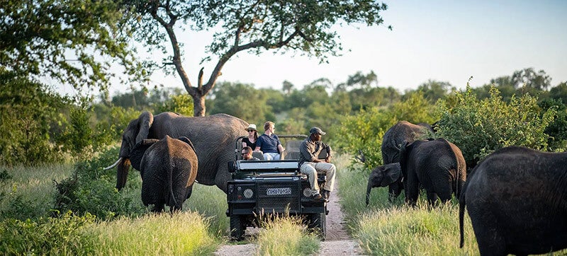 Pourquoi Louer une Voiture à Kruger Mpumalanga ?