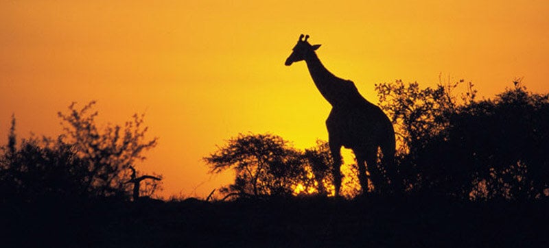 Car Hire in Hoedspruit