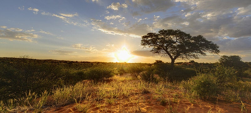 Cheap Car Hire in Upington Airport